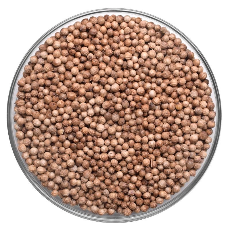 Coentros em Grão Bio